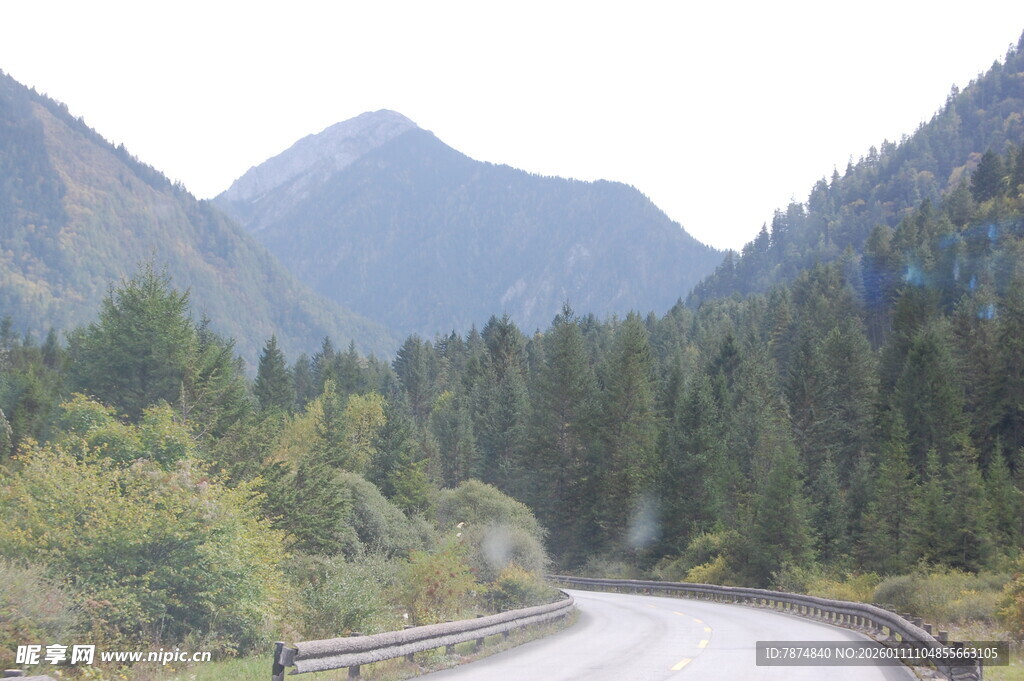 山间蜿蜒路 葱郁山林景