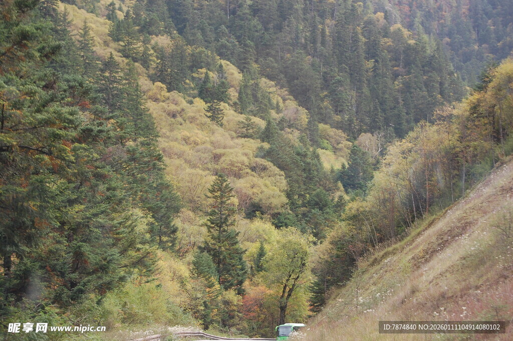山间公路穿行于多彩山林