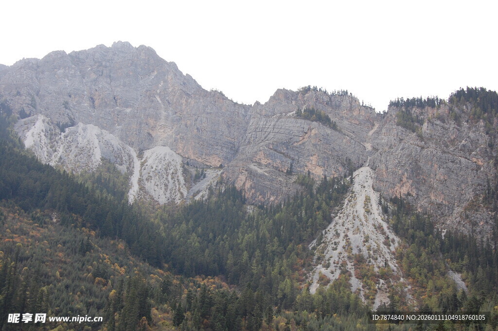 巍峨山峦与茂密森林景观