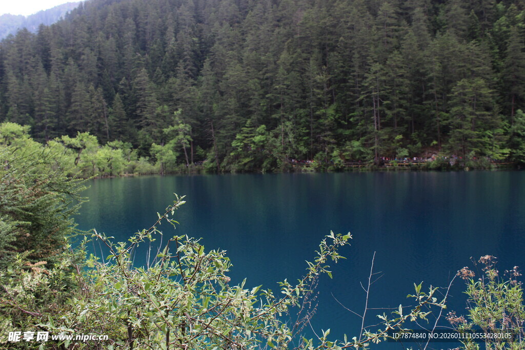 幽蓝湖泊伴葱郁山林