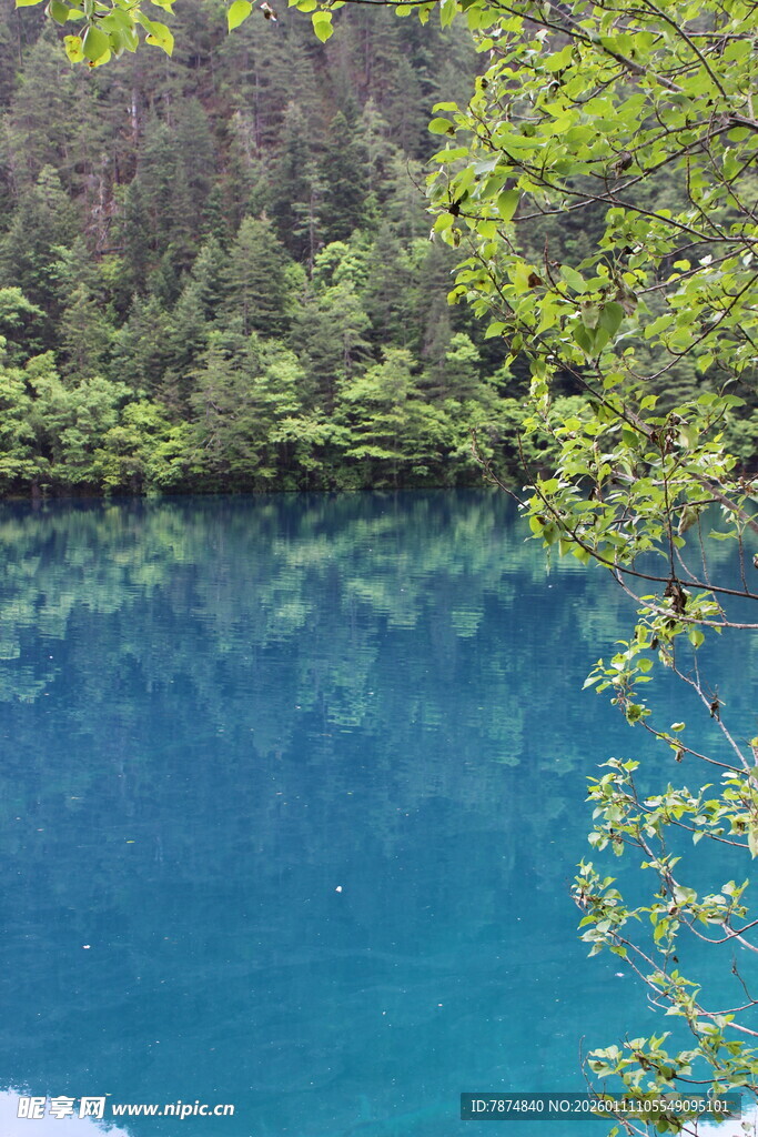 清澈蓝湖与葱郁树林美景