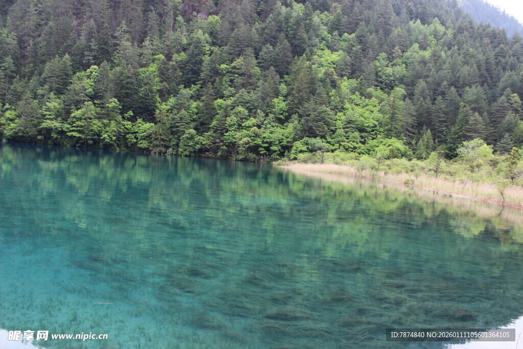 碧绿湖水与葱郁山林美景