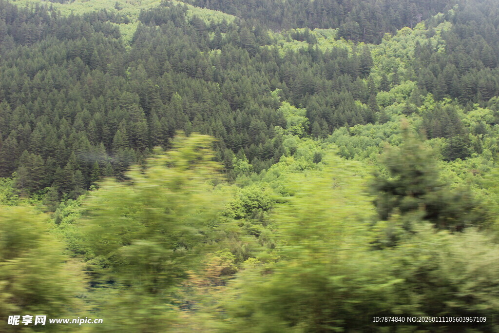 山林葱郁的自然景致