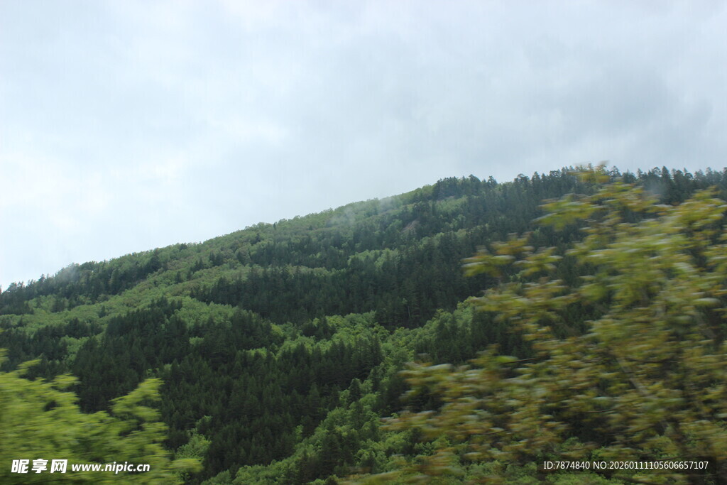 青山葱郁的自然美景