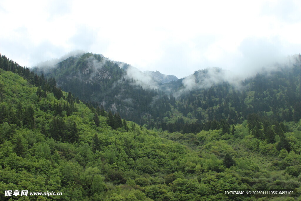 青山云雾间的翠绿山林