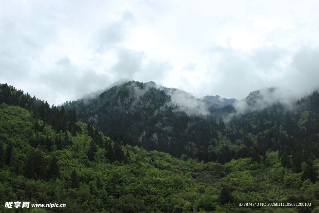 云雾缭绕的翠绿山峦