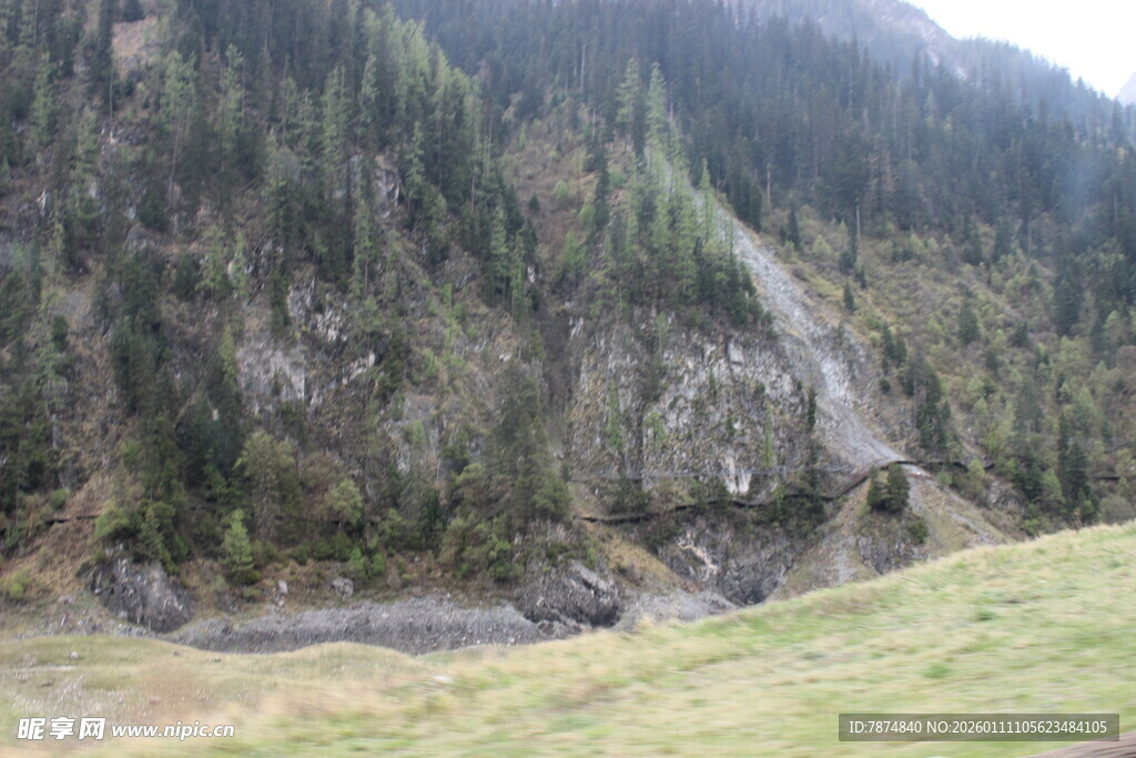 山间草坡与茂密山林景观