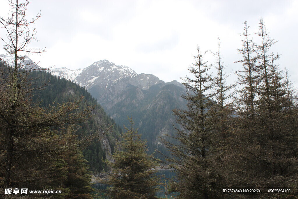 山林间的秀丽雪山景色
