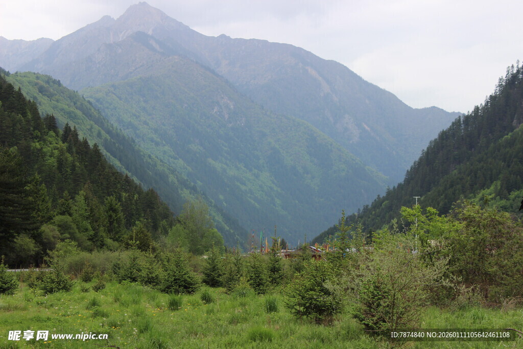 山间绿野 秀丽山峦景色