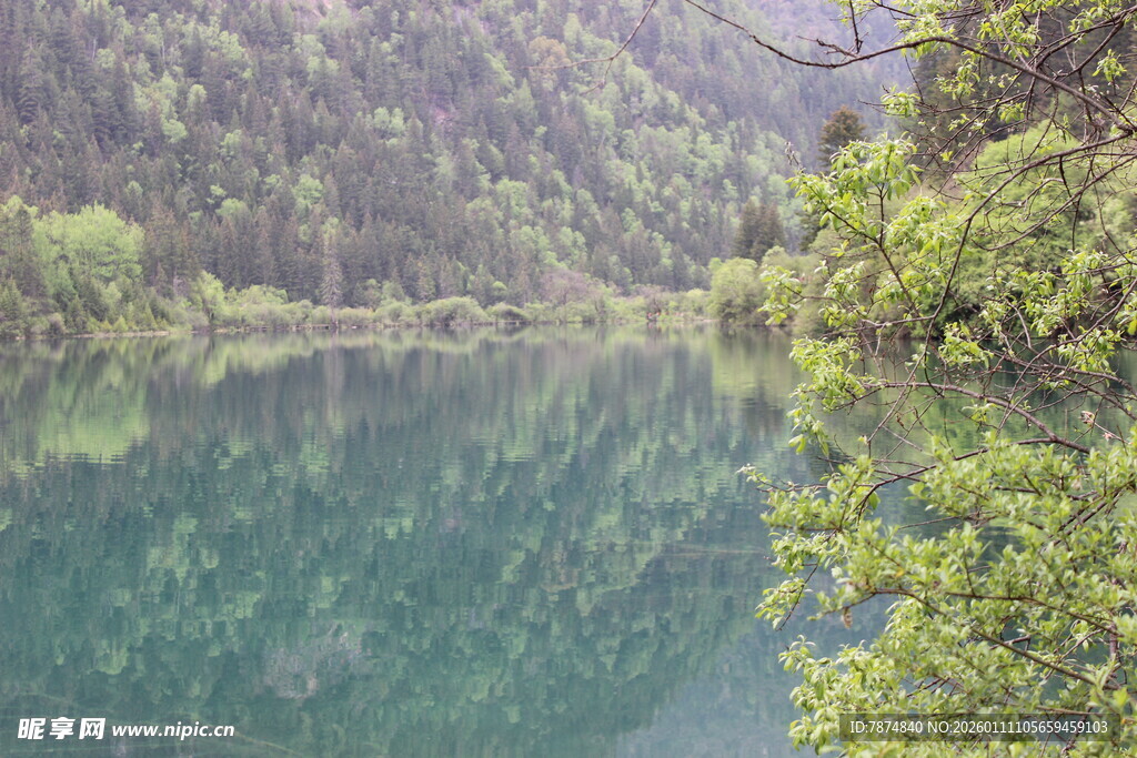 静谧山林中的碧绿湖水