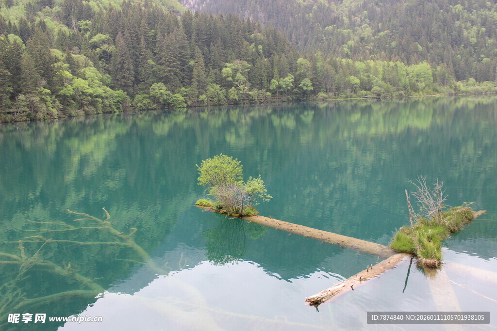 青山绿水间的木桥美景