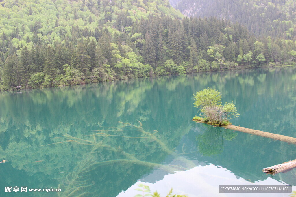 梦幻蓝湖中的孤树奇景
