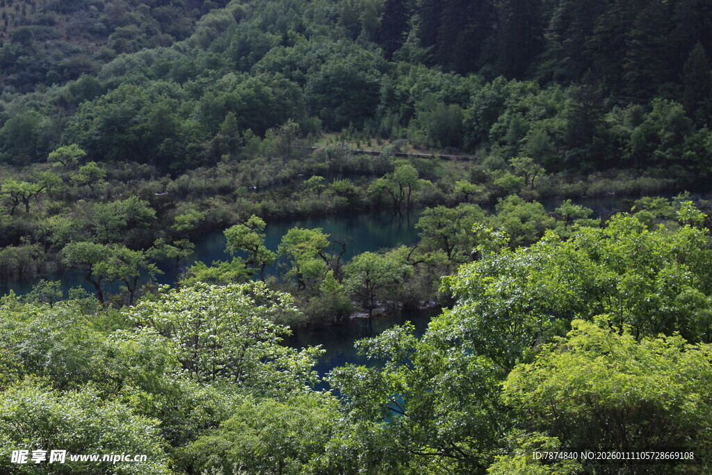 山林绿意盎然的自然景致