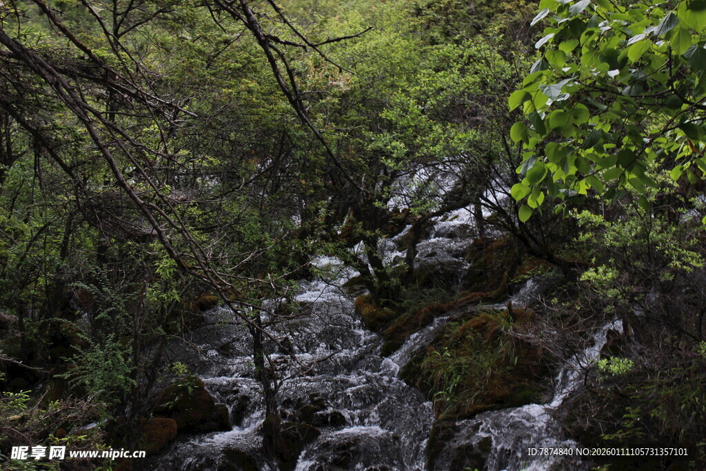山林间的潺潺溪流
