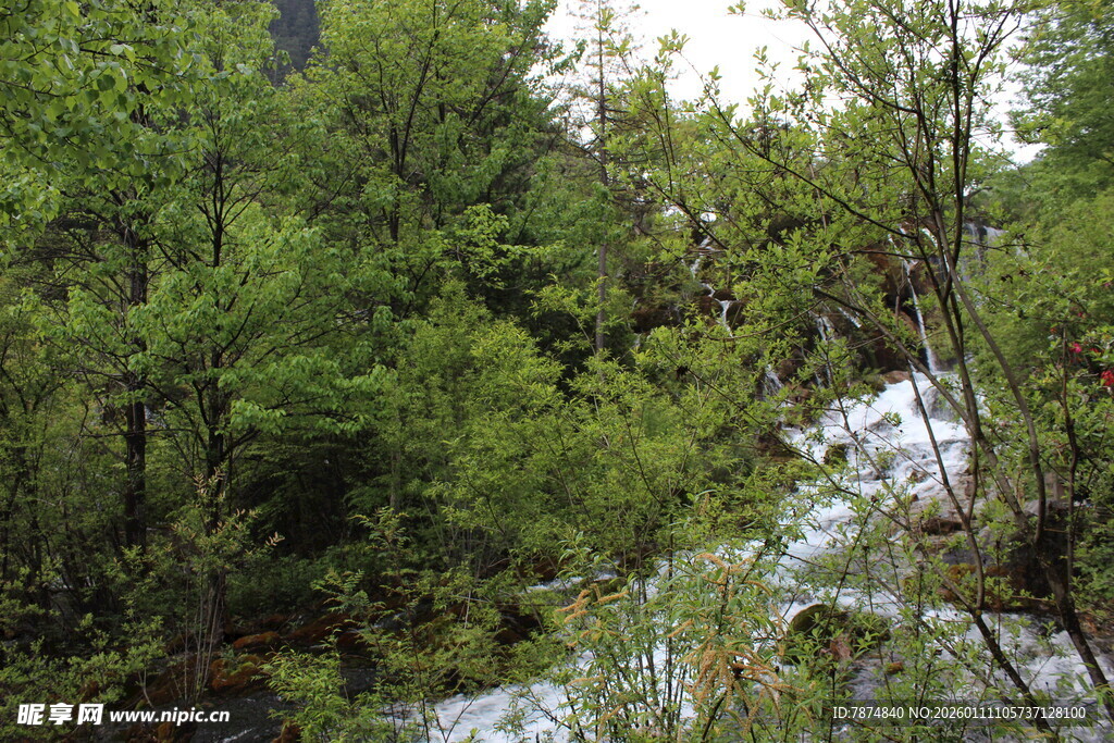 山林间的潺潺溪流