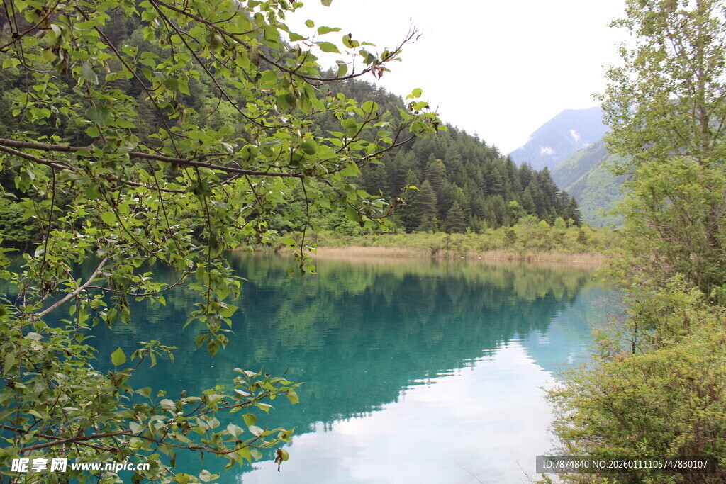 山间蓝湖 绿意环绕美景