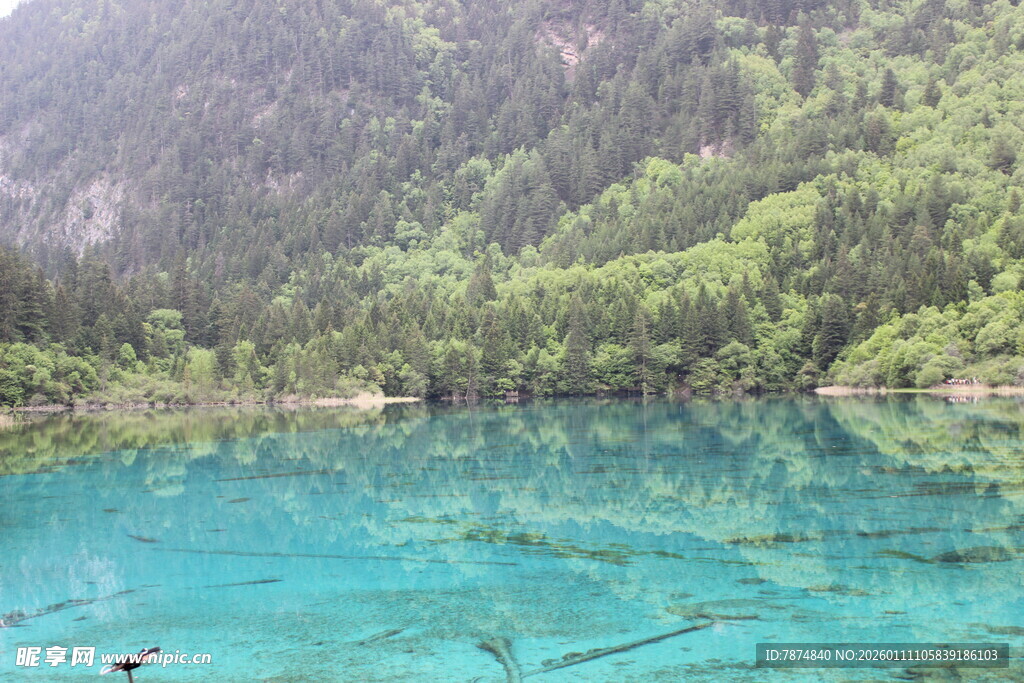 清澈蓝湖映山林美景