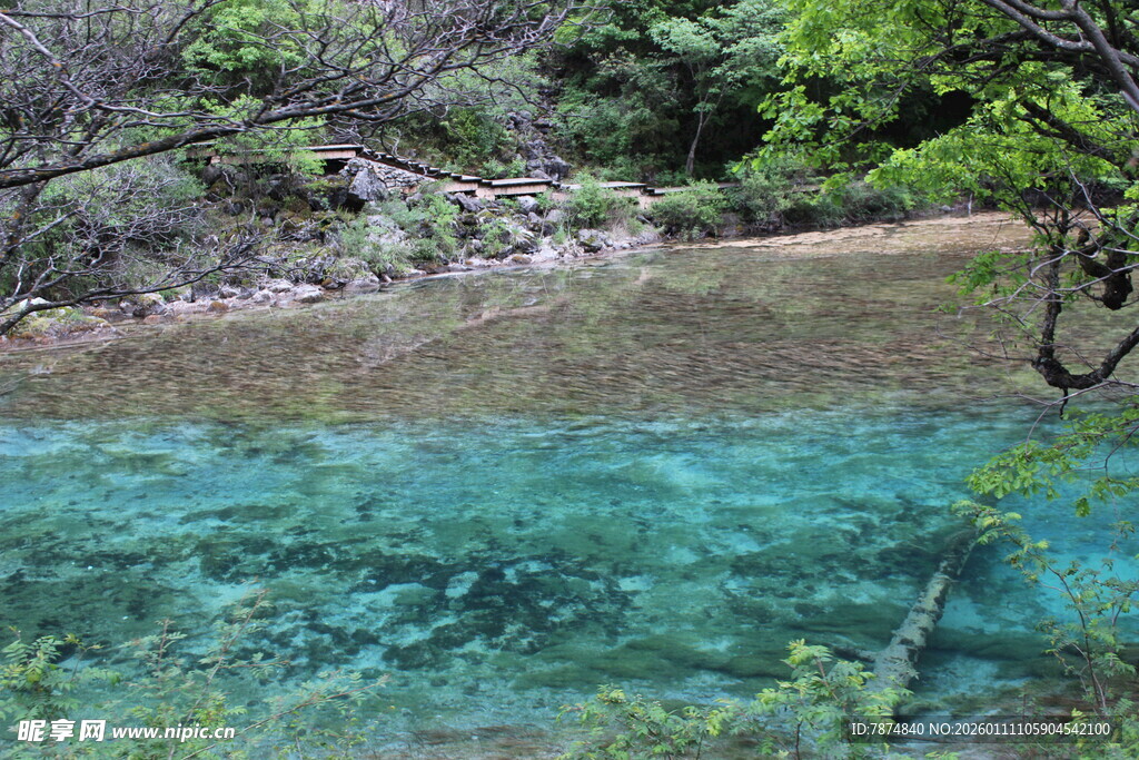 清澈见底的山间幽蓝水域