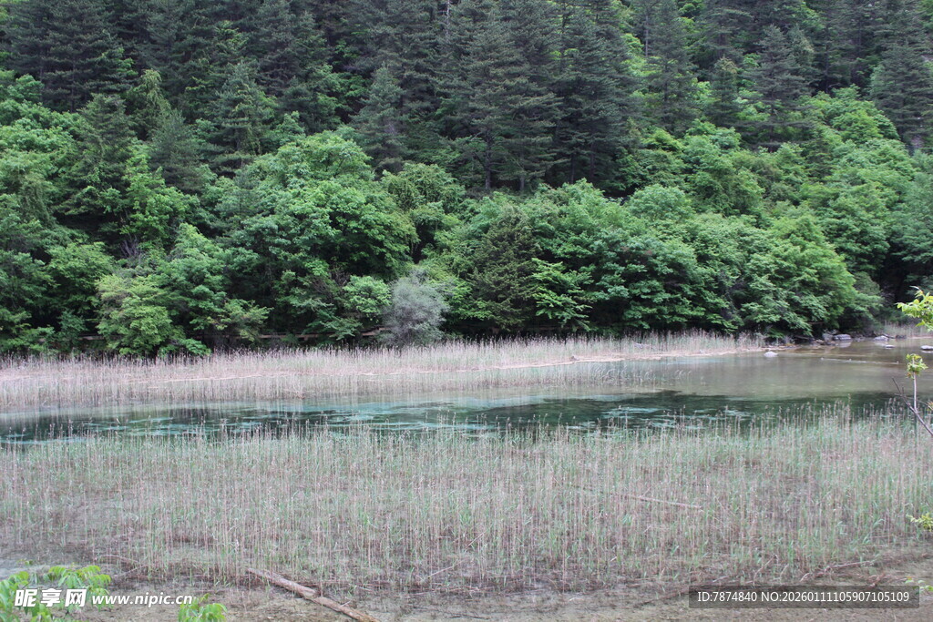 山林边的静谧水域