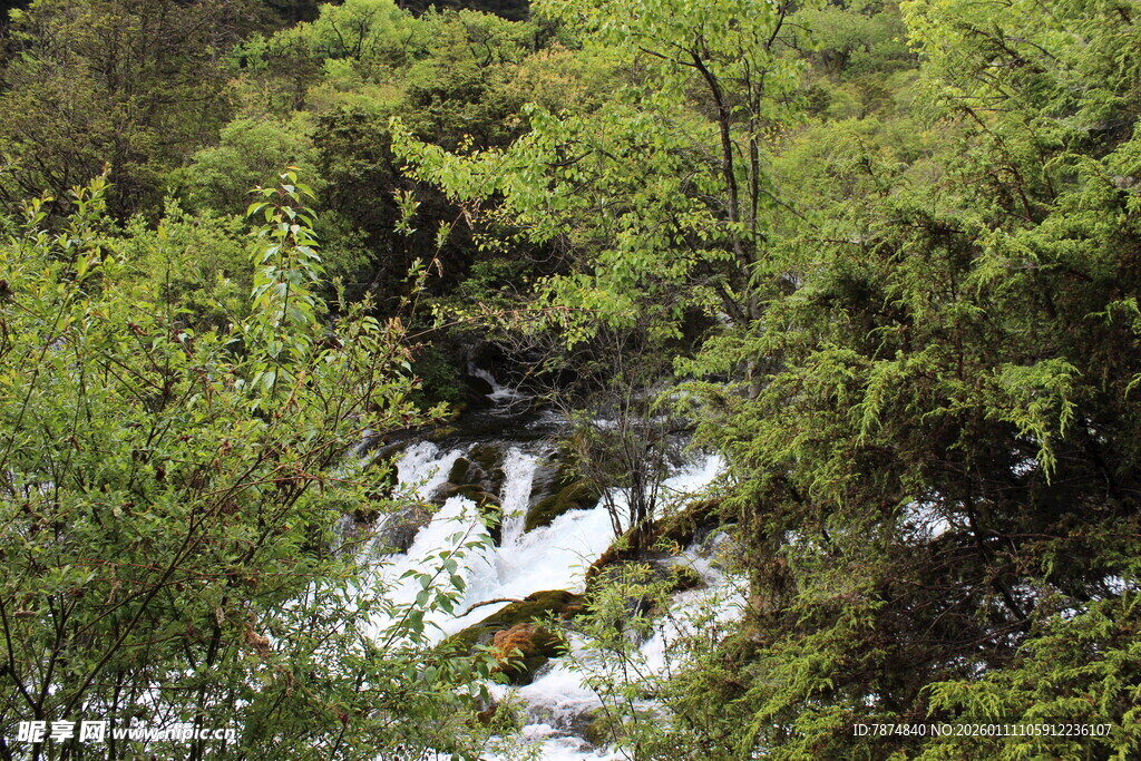 山林间的潺潺溪流