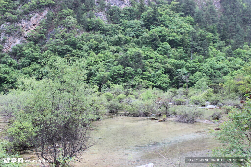 山间绿意盎然的溪流景色