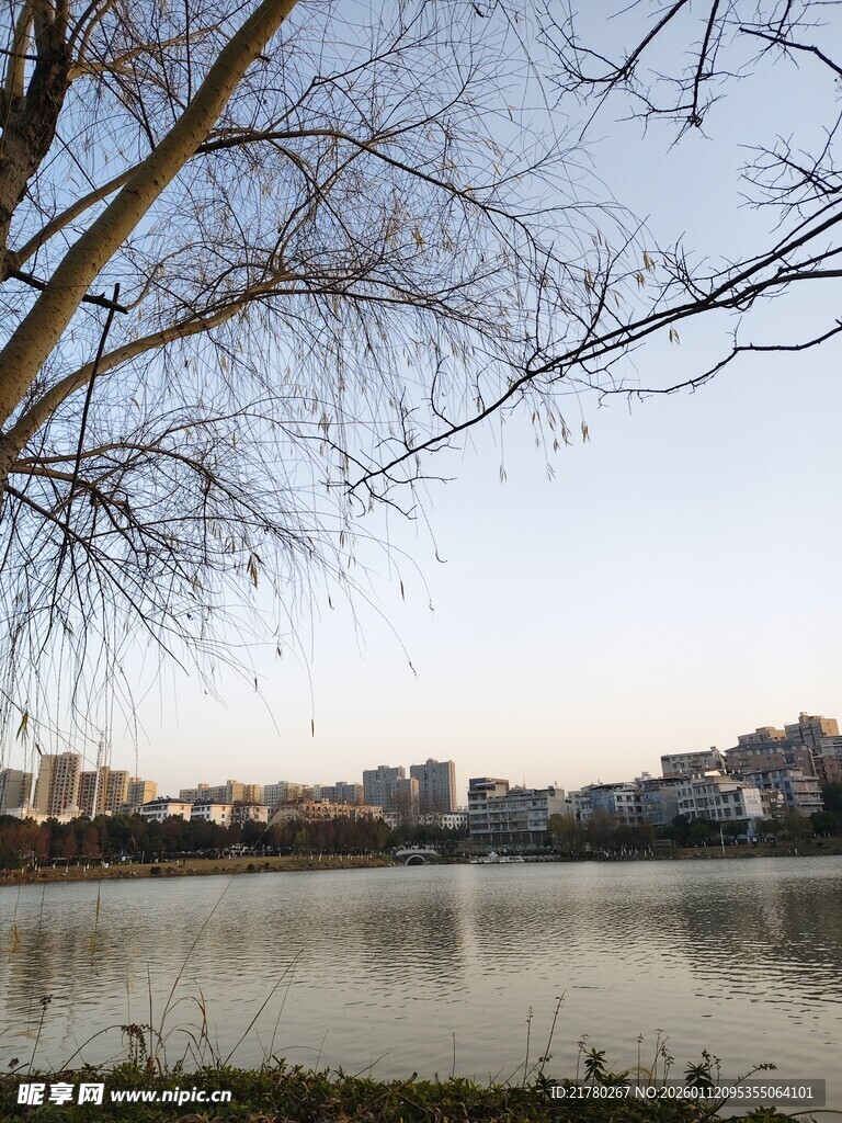 湖畔城市风光