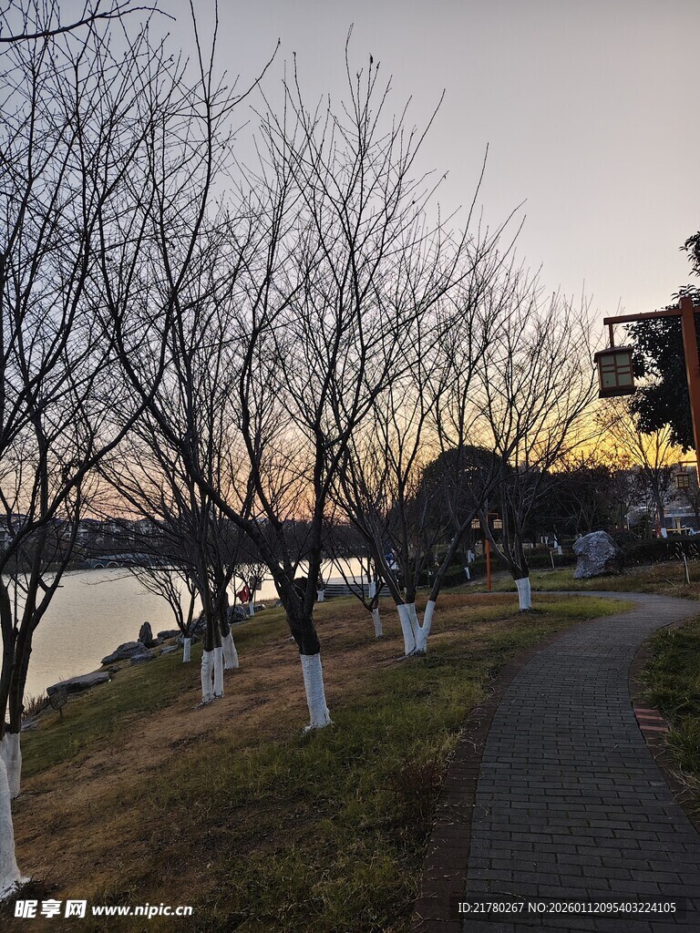 冬日河畔小路静谧景致
