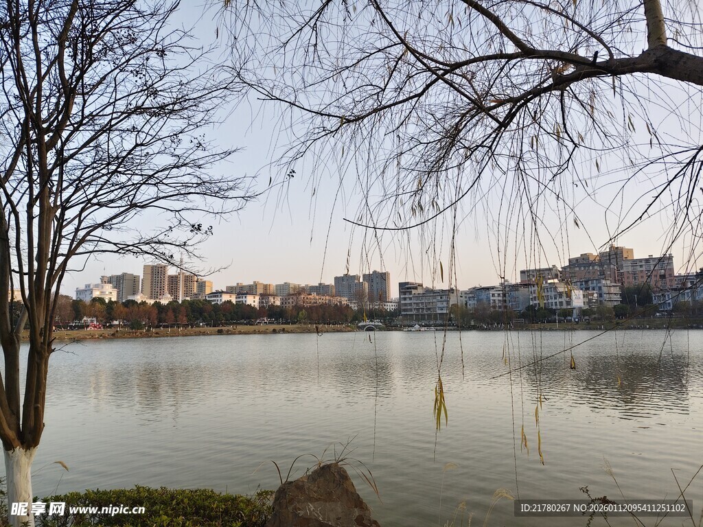 湖畔冬景 光秃树枝映湖水