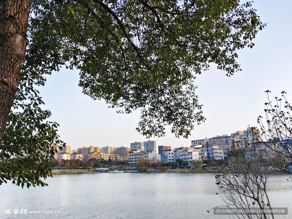 湖畔城市风光