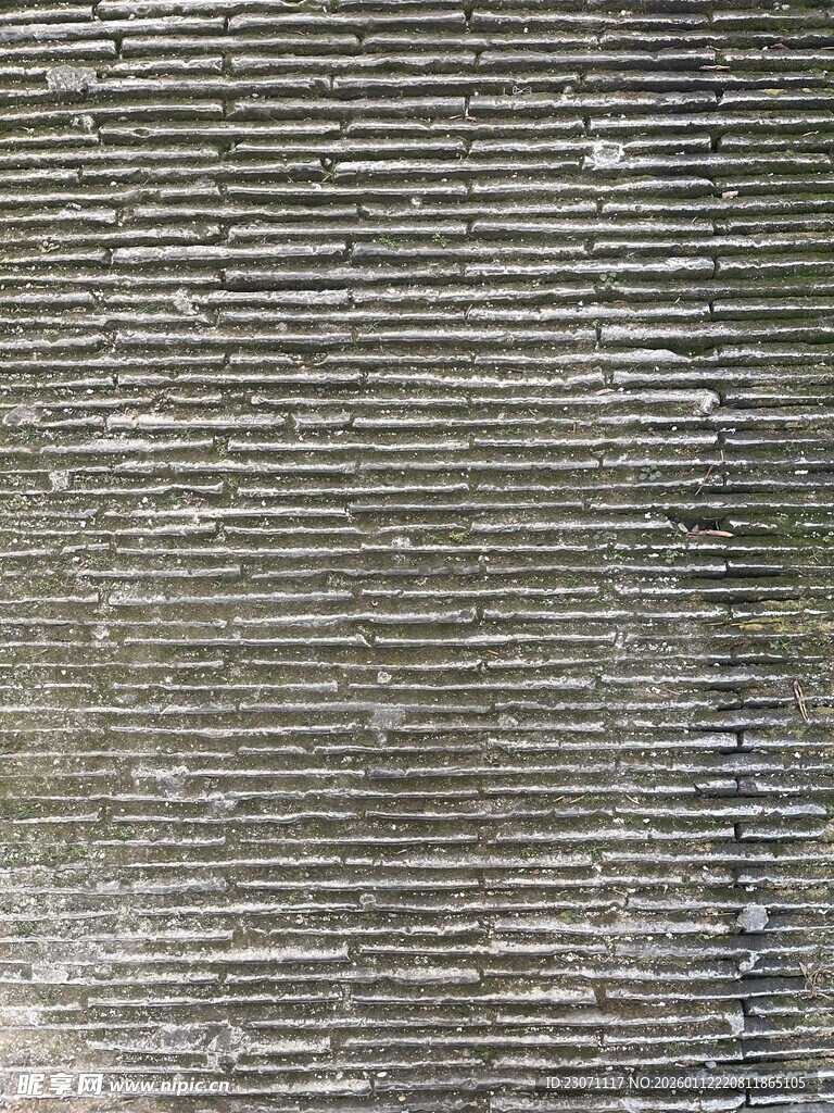 纹理
