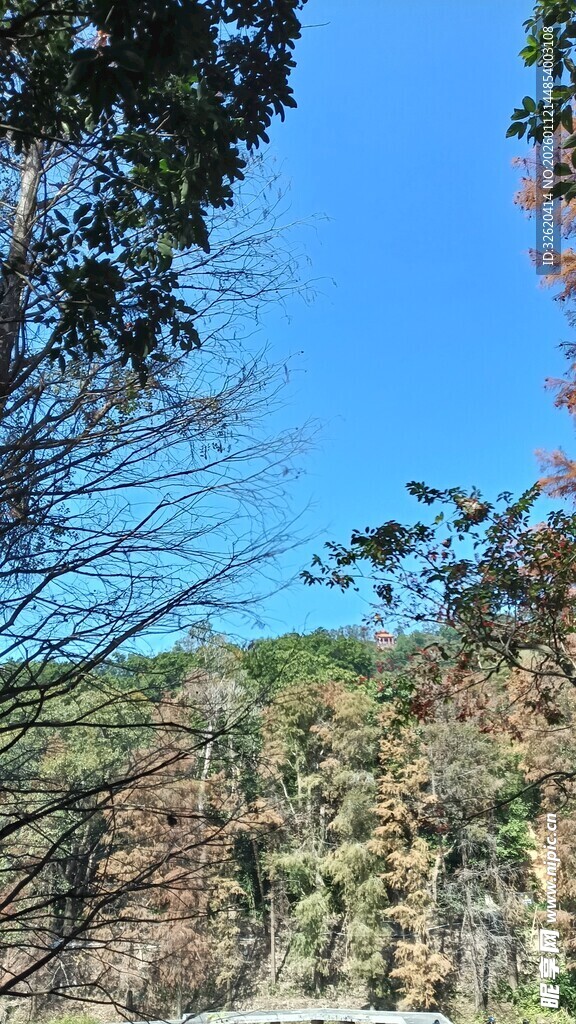 山间景致