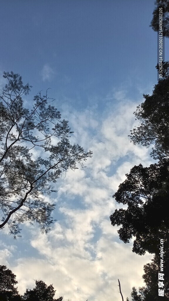 蓝天绿树间的自然景致