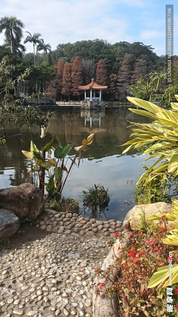 湖畔景致