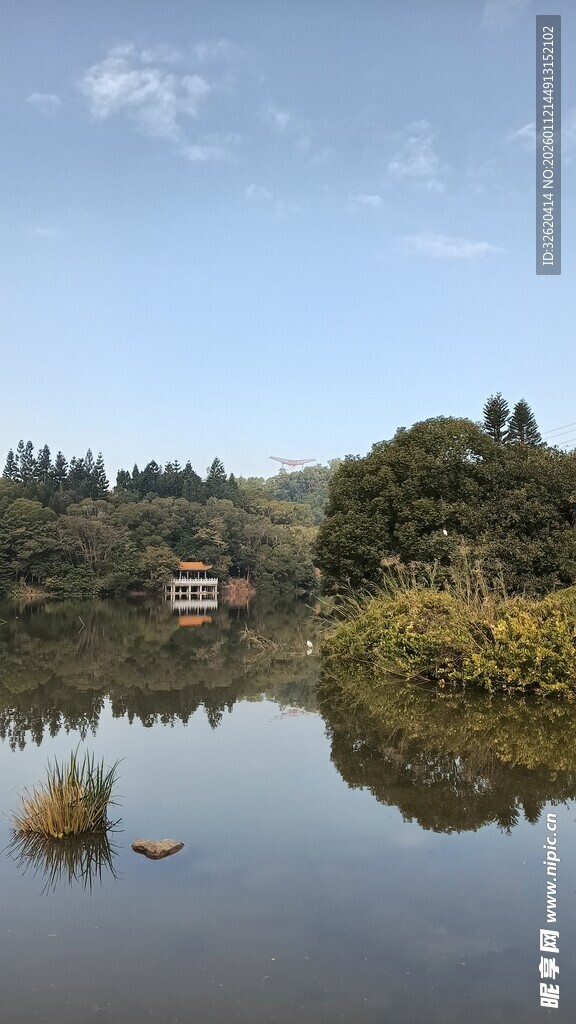 宁静湖畔风光