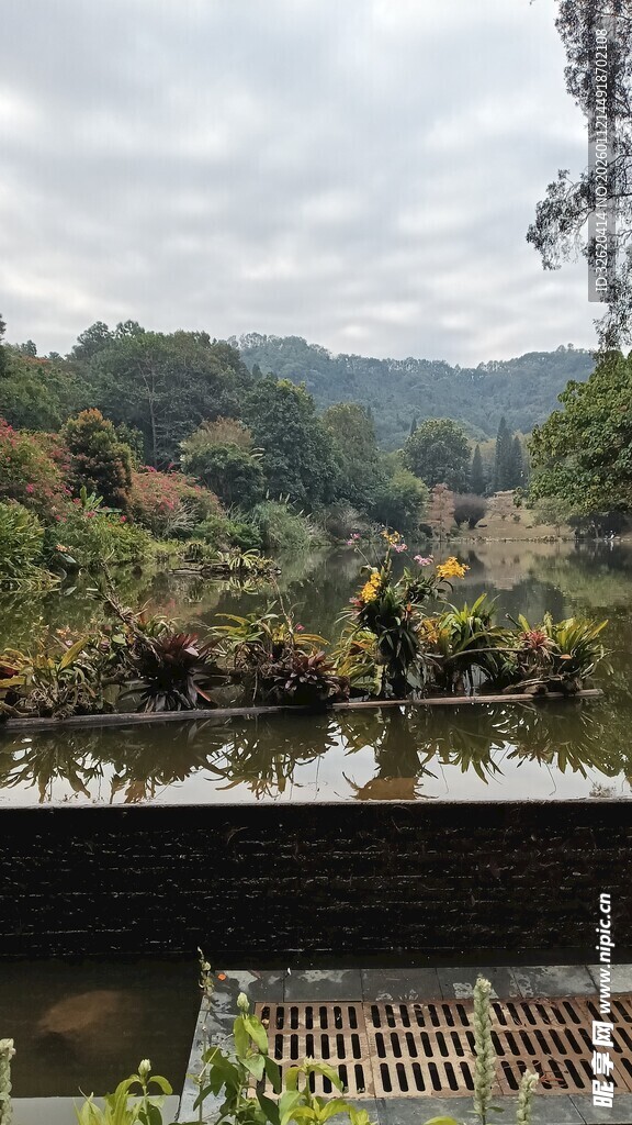 山间水田风光