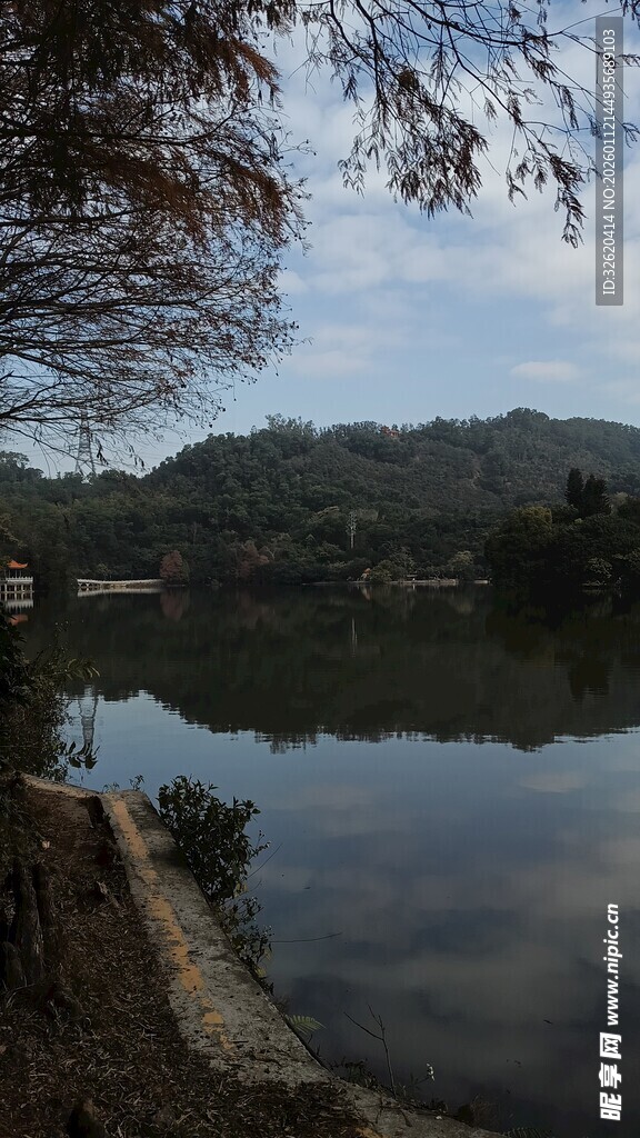 宁静湖畔风光