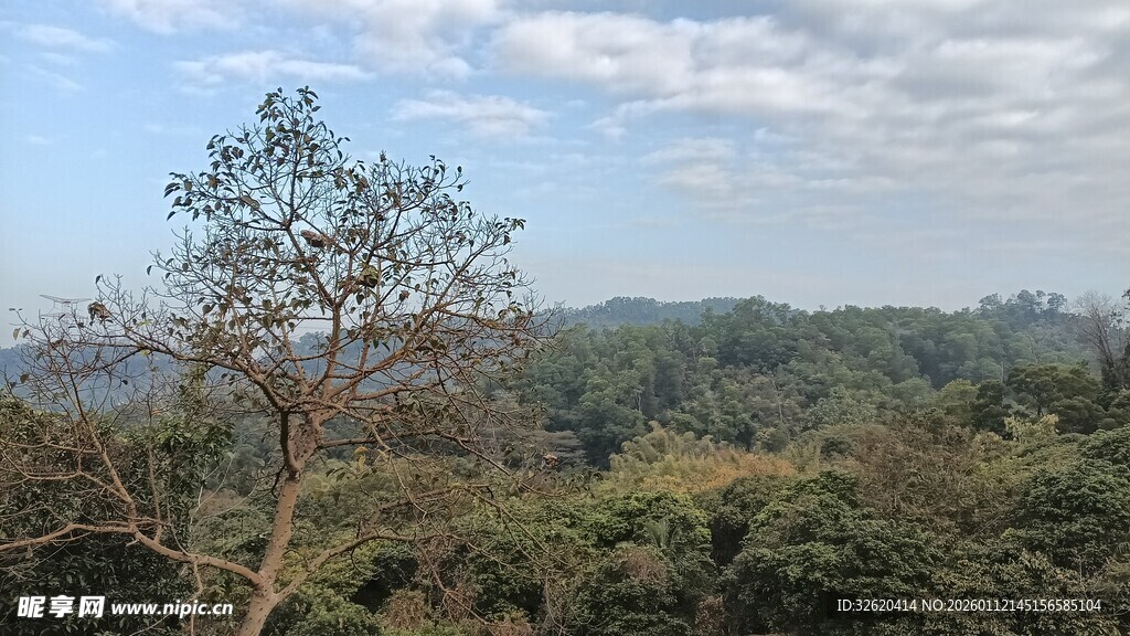 山林景致