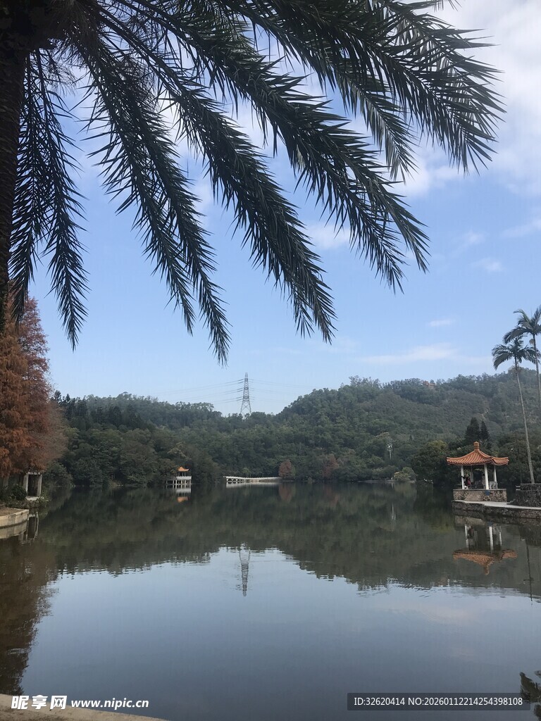 湖畔棕榈与远山美景