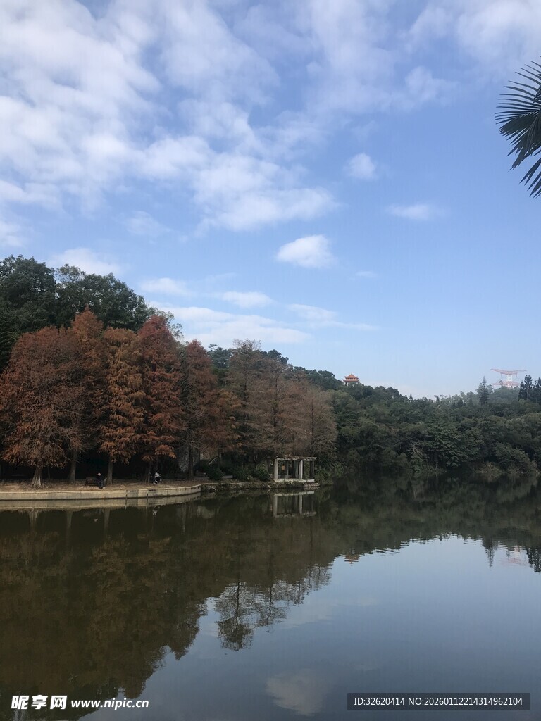 湖畔秋景树木