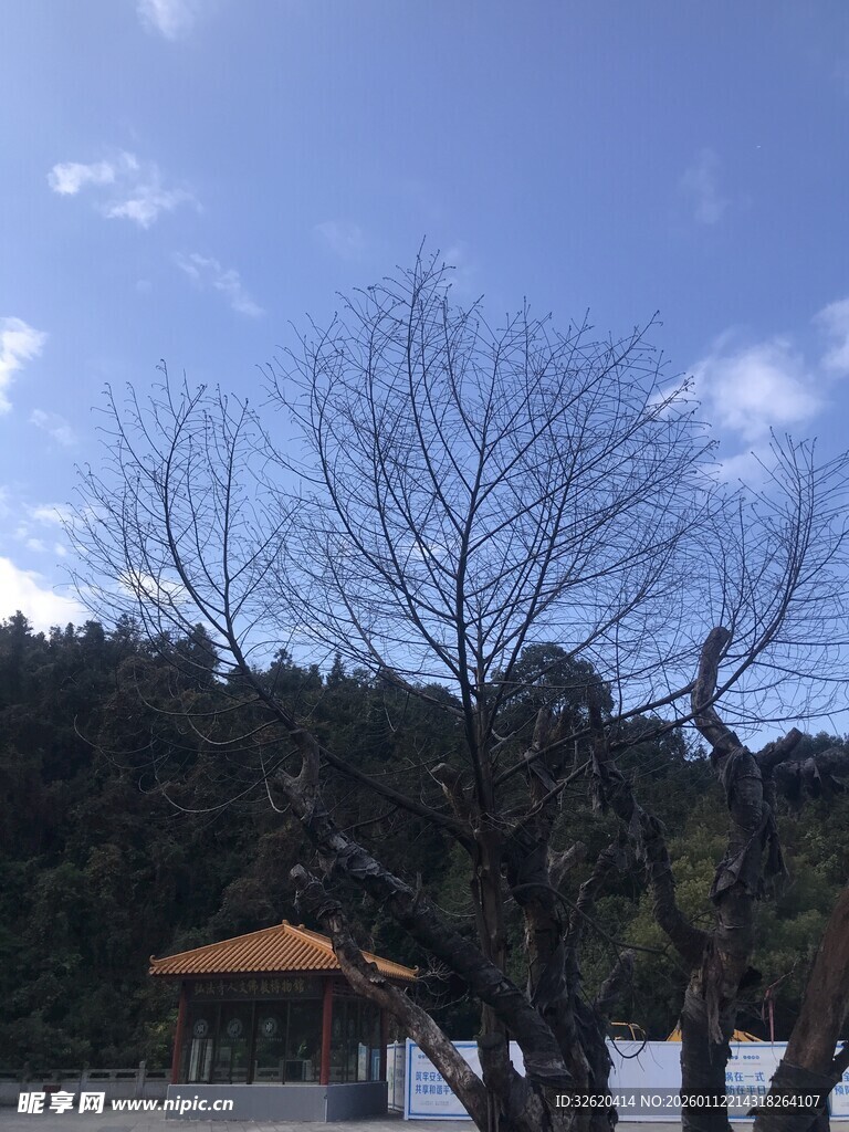 冬日枯树旁的红顶建筑