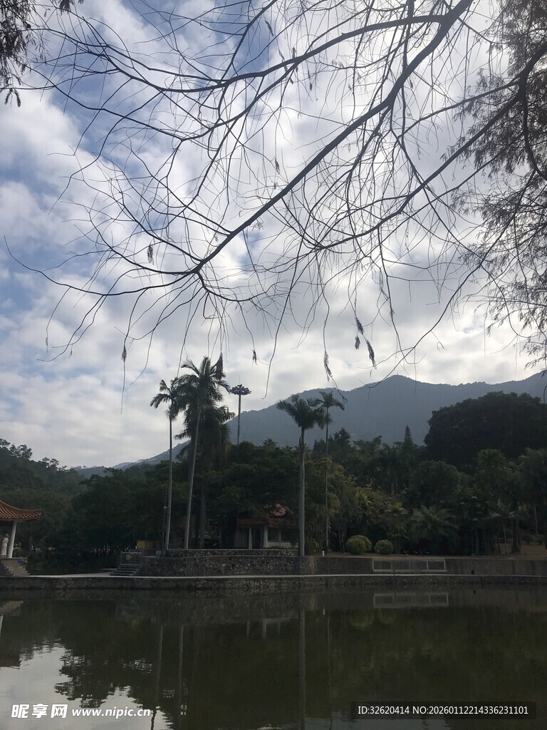 湖畔树木与远山风景