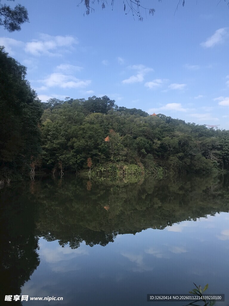 宁静湖畔的自然美景