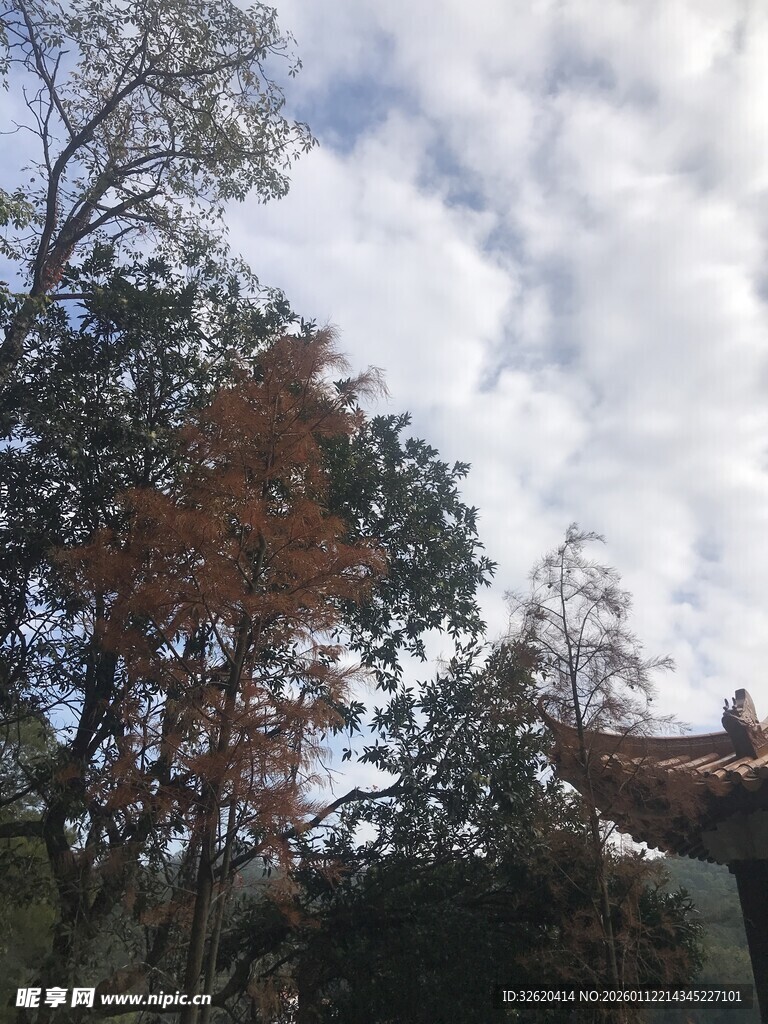 秋日云下的树木与古建筑