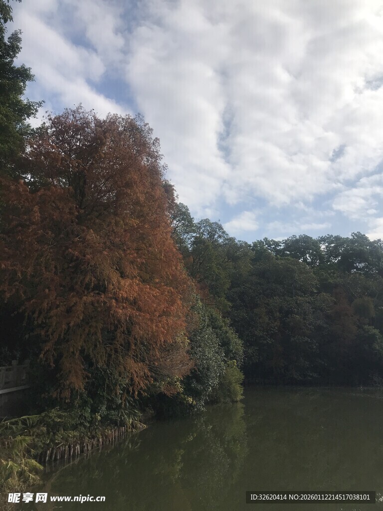 湖畔秋色