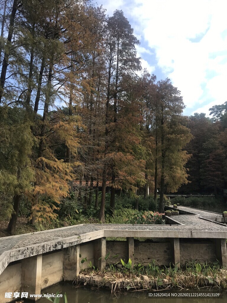 秋日林间静谧石桥景观