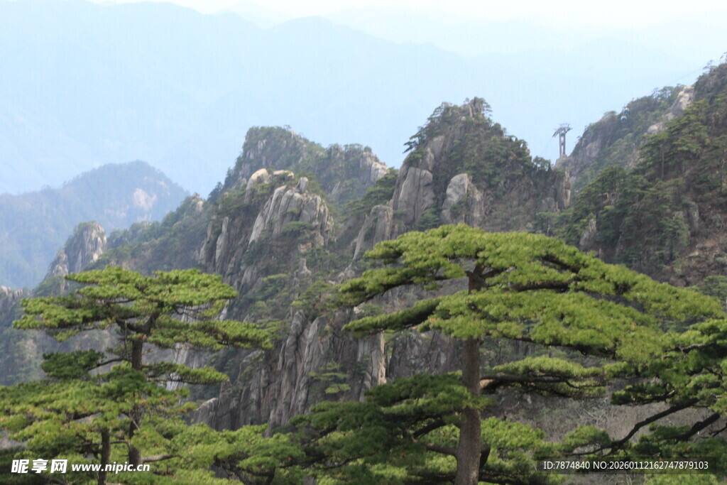 黄山奇峰与苍松美景