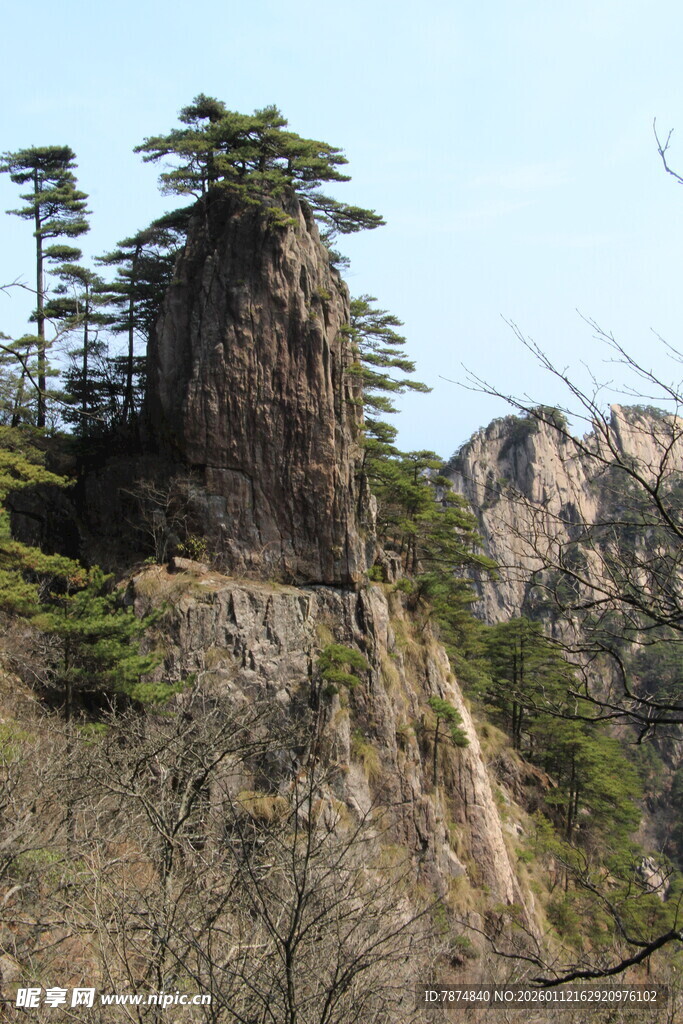 峻峭山峰上的挺拔松树