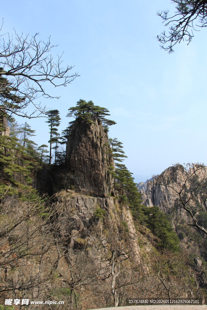 峻峭山峰上的挺拔树木