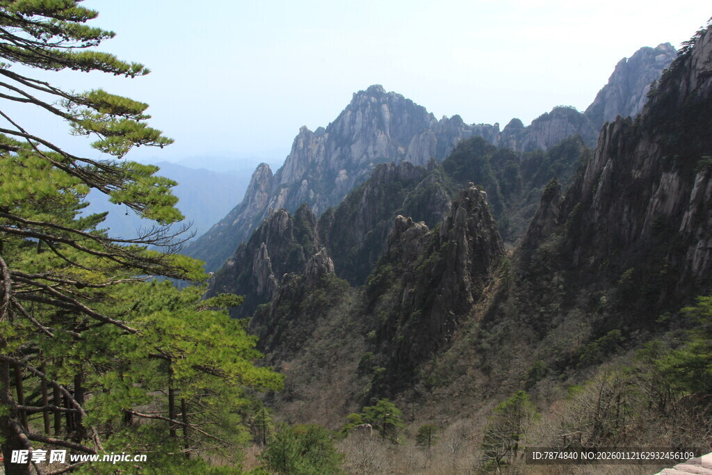 壮丽山景与翠绿树木