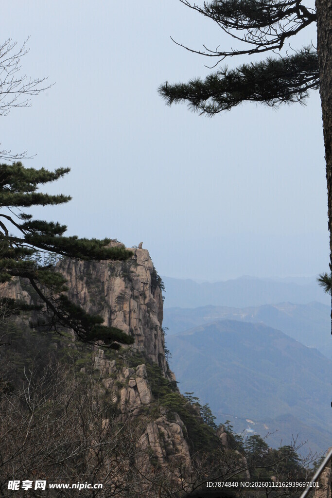峻峭山峰上的挺拔松树